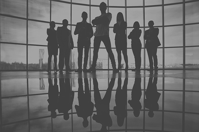 Tailored Project Team
